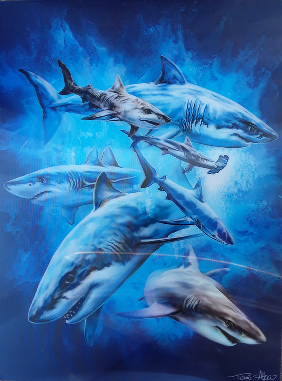 'Shark Swim' Ocean Wildlife 3D Art Print 30cm x 40cm