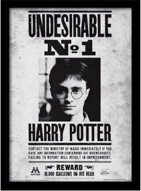 Harry Potter Undesirable No.1 Framed 30cm x 40cm Print