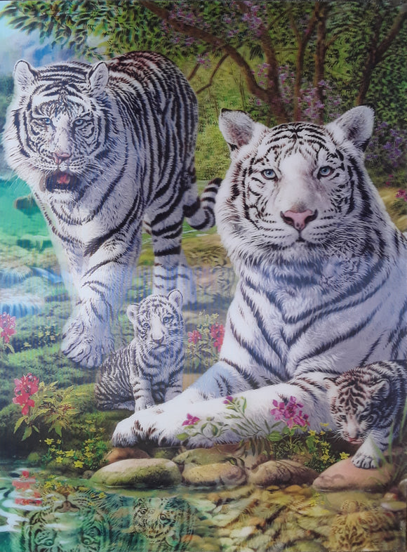 ‘White Tiger Clan' Lenticular 3D Art Print by artist Steve Read 30cm x 40cm