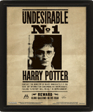 3D Harry Potter Print